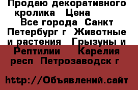 Продаю декоративного кролика › Цена ­ 500 - Все города, Санкт-Петербург г. Животные и растения » Грызуны и Рептилии   . Карелия респ.,Петрозаводск г.